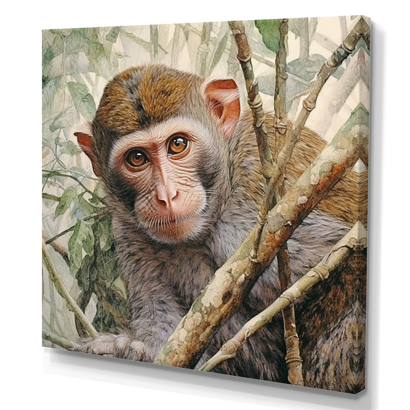 Wild Monkey IV sur toile, H 24 po x l 24 po x P 1 po, Toile tendue