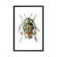« ladybird », impression sur toile tendue-22640139-72688916-72688915