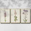Mauve Garden Flowers I, ensemble de 3 toiles encadrées sur toile-97792184-97792185