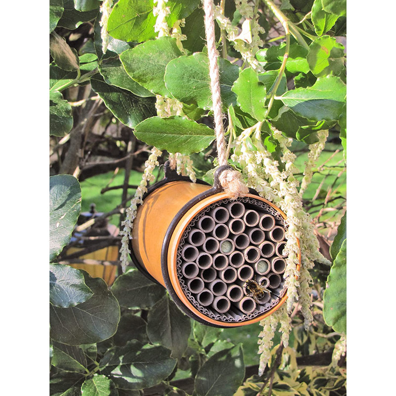 Hagopian Hanging Bumblebee House