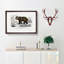 Brown Bear by Charles d'Orbigny - Picture Frame Painting Print on MDF-55512869-55512871