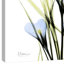 «Bunched Crocus C38», reproduction d'impression sur toile-23605257