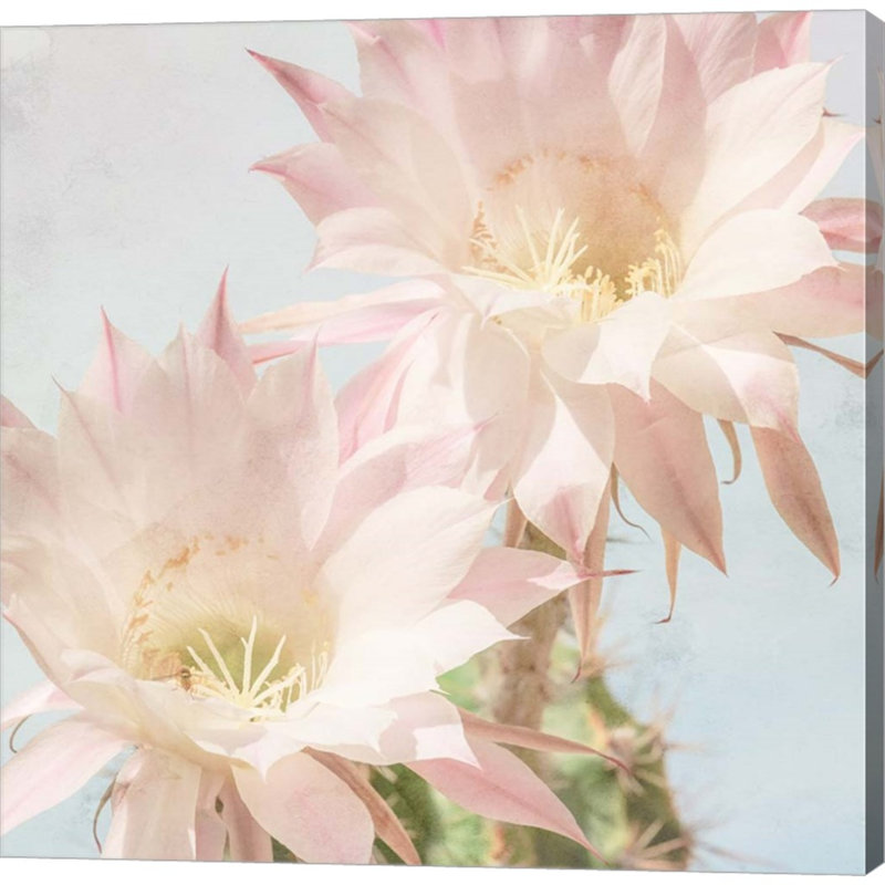 Décoration murale fleur de cactus