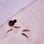 Dancing Fairies Duvet Cover Set-88761308