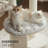 Heavy-Duty Solid Wood Cat Tree for Large Cats, 58"H-1532645379