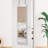 Door Mirror