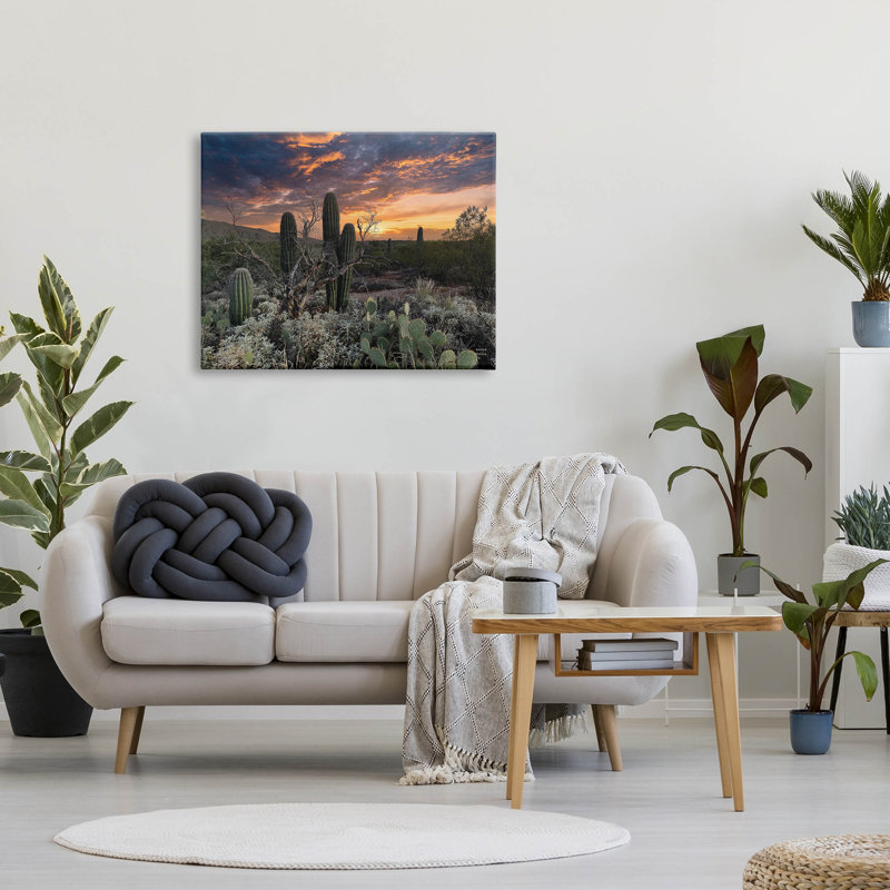 Cactus aride du désert - Photographie sur toile tendue, H 30 po x l 40 po x P 1,5 po