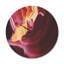 Horloge murale mauve en bois d'antilope-63617857
