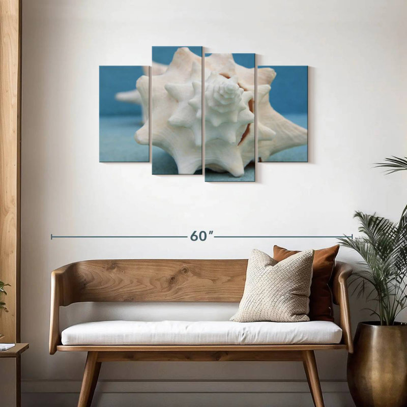 White Conch Seashell