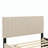 Velvet Upholstered Platform Bed with Trundle-106492948-112511389