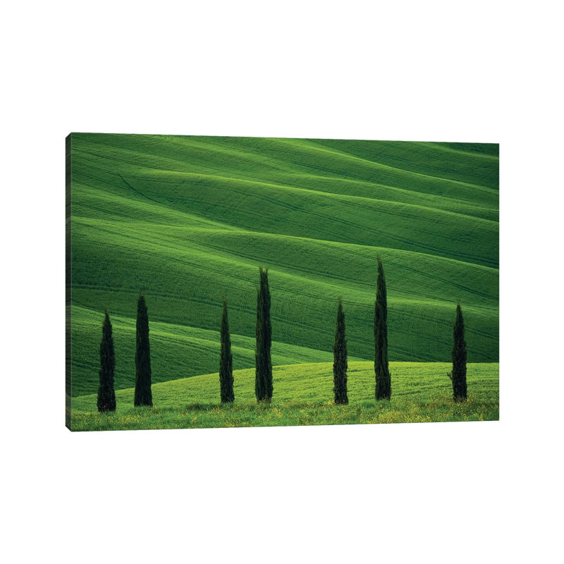 Europe, Italy, Tuscany, Val D' Orcia. Cypress Trees And Wheat Field. by Jaynes Gallery - Wrapped Canvas Print