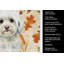 Serviette de cuisine tricolore Sheltie-2083471948