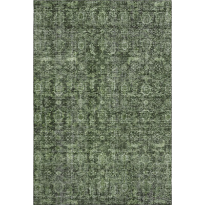 Premium Machine Washable Ducote AMF1145 Damask Rug