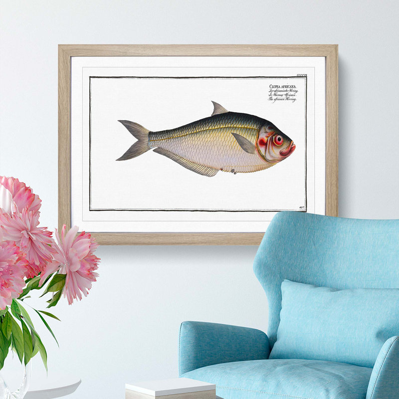 African Herring Fish by M.E. Bloch - Single Picture Frame Painting, 24cm H x 33cm W x 2cm D, Oak Framed