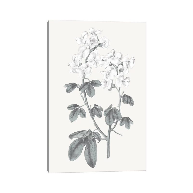 Neutral Botanical III - Wrapped Canvas Painting, 30.48cm H x 20.32cm W x 1.905cm D
