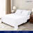 Cotton Blend Sheet Set-53639348-53639351