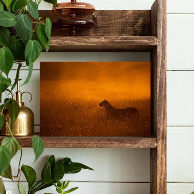 «Golden Hour», reproduction d'art dramatique contemporain, lion, cheval, lion, nature, lever de soleil