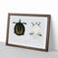 Javan Trionyx Turtle by John Edward Gray - Picture Frame Graphic Art Print-55610049-55610053