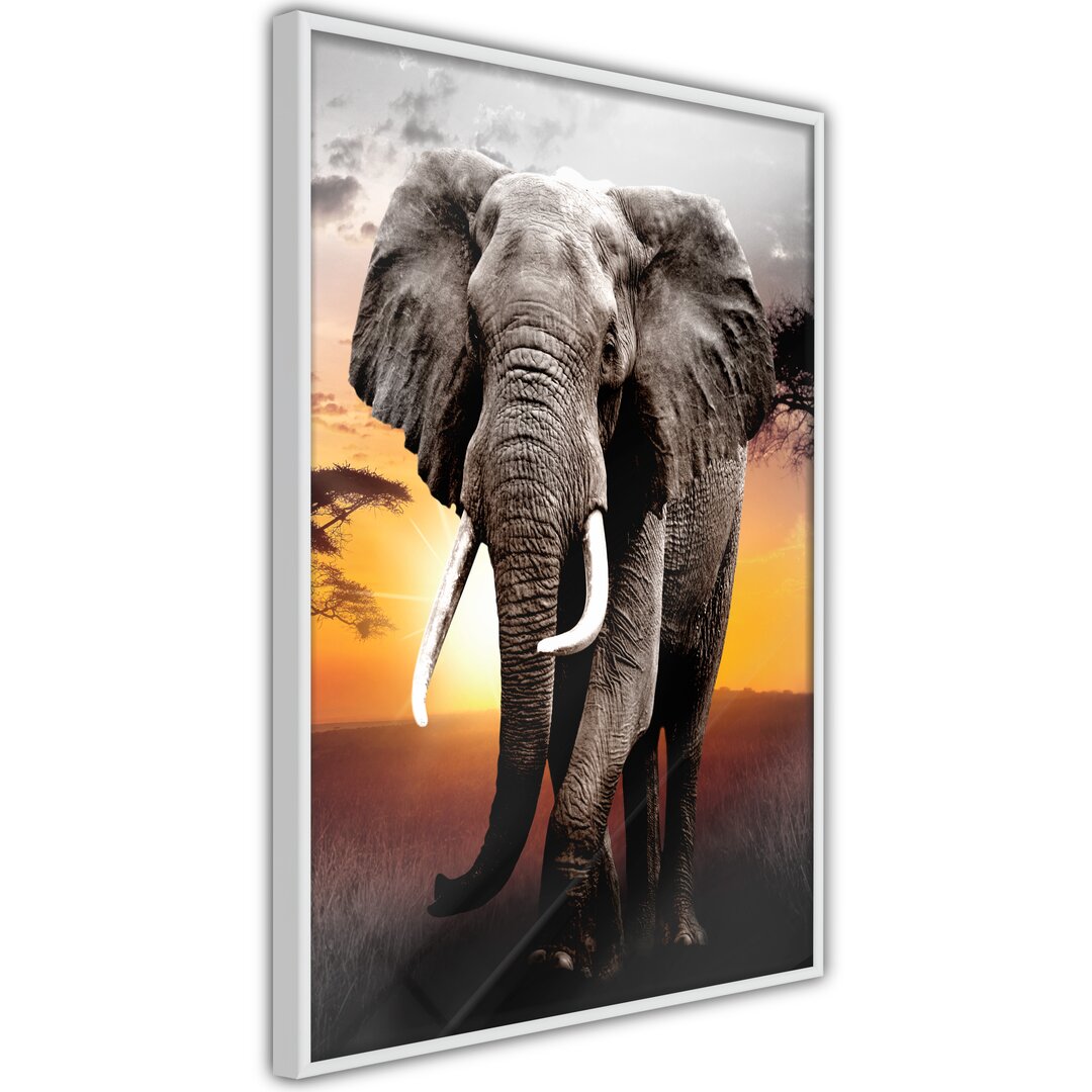 Gerahmtes Poster Majestic Elephant