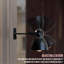 Aniqua Armed Sconce
