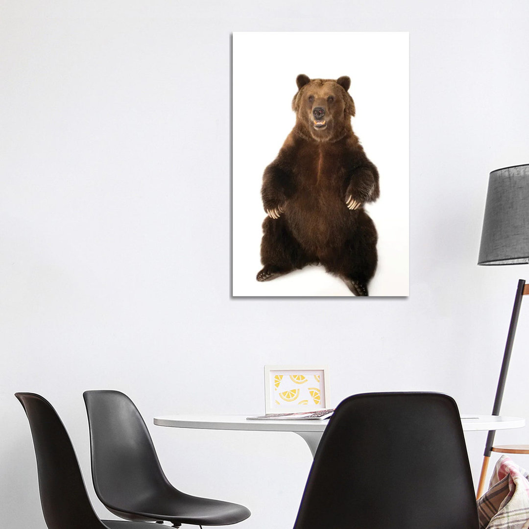 A Federally Threatened Grizzly Bear At Sedgwick County Zoo von Joel Sartore - Gallery-Wrapped Canvas Giclée on Canvas