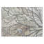 Tapis botanique intérieur / extérieur lavable à la machine Bourkelands ACN2336-1517390668