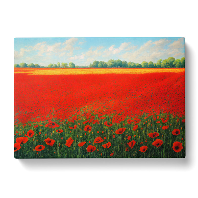 Unbeatable Poppies Flowers - Wrapped Canvas, 50cm H x 76cm W x 3cm D