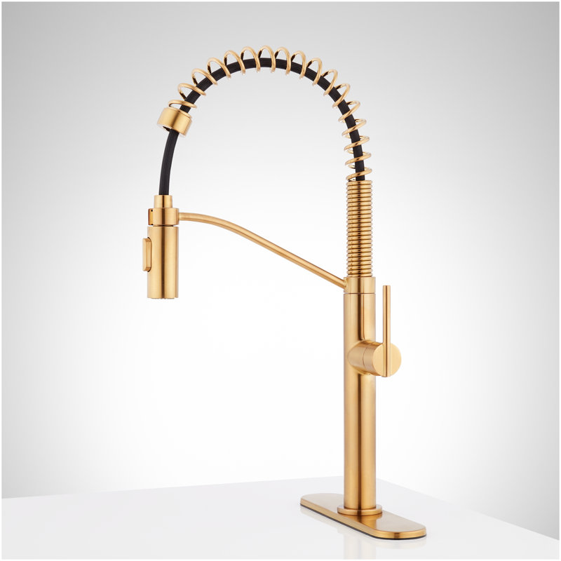 Eiler Kitchen Faucet with Pull Down Spring Spout with Deck Plate - Brushed Gold, Brushed Gold
