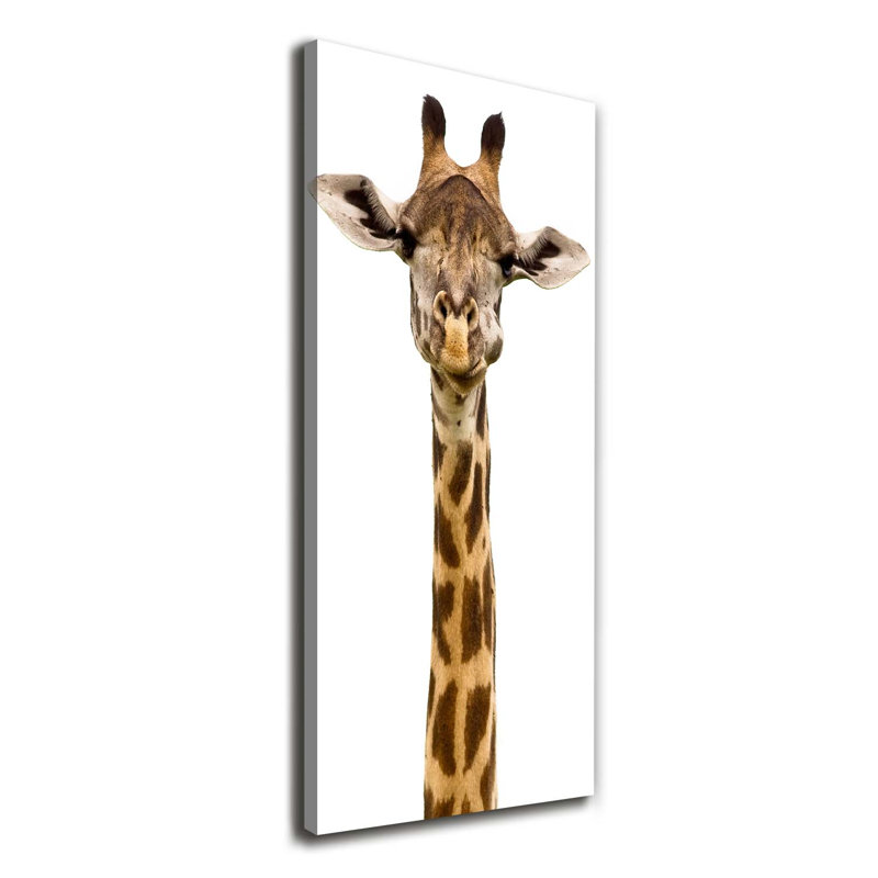 Giraffe - Wrapped Canvas Print