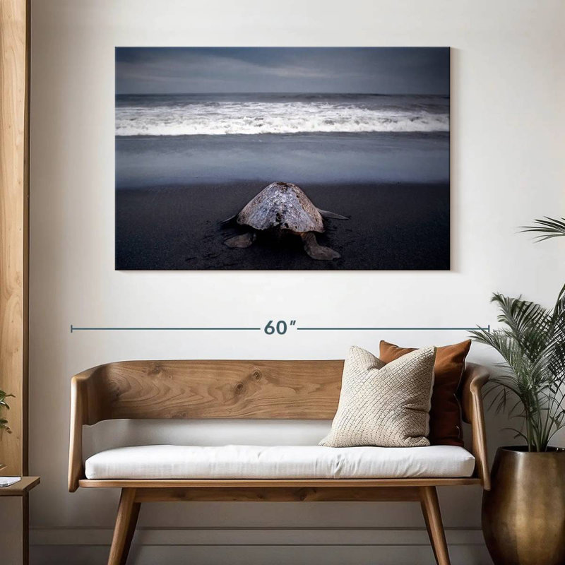 Brampt Ridley Sea Turtle, 32" H x 48" W