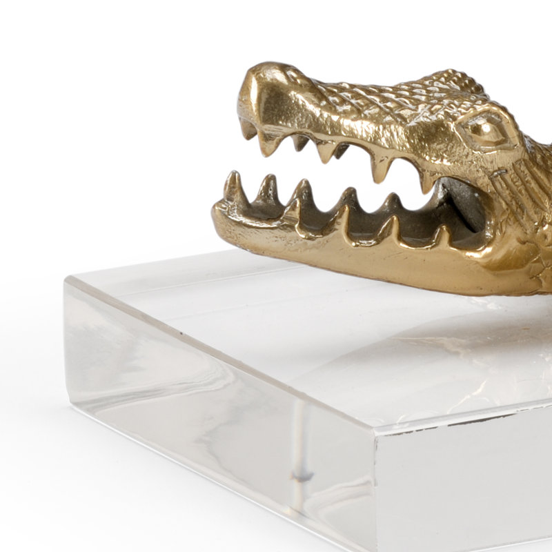 Animal Crocodile