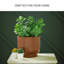 Vase Chaffinch-122059983-122059985