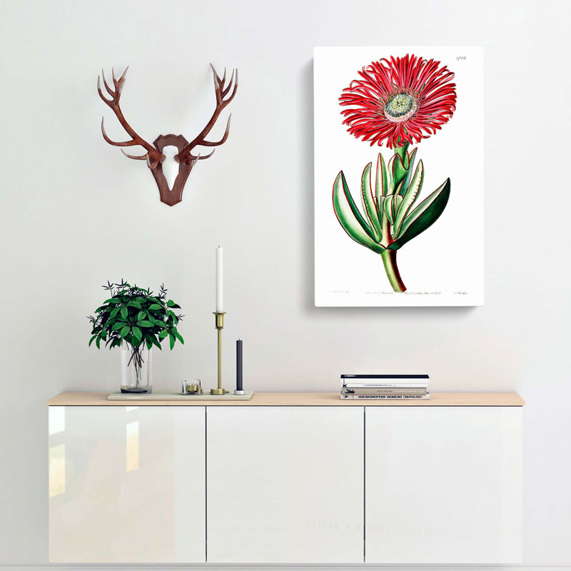 Marigold Flower - Wrapped Canvas Painting Print, 60cm H x 40cm W x 3cm D