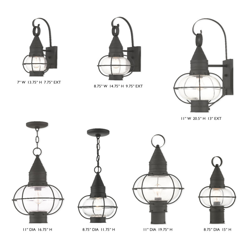 Aster Transparent Lantern Head, Black
