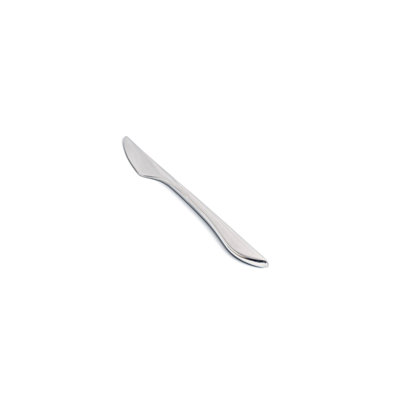 Liam Stainless Steel Dinner Knife