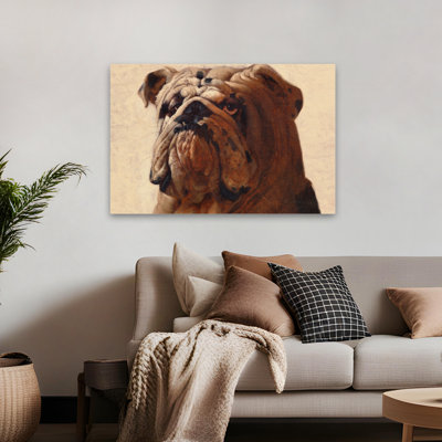 Bulldog - Animals Novelty Dogs Art