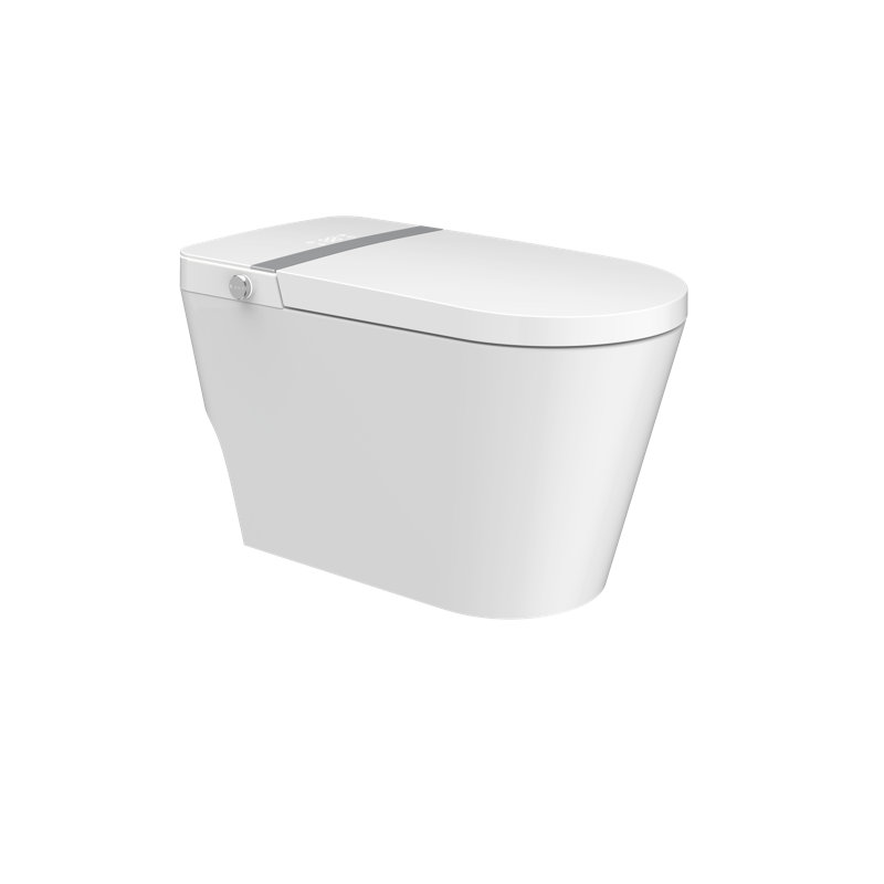 Toilette allongée à fixation au sol 0,8 gallons GPF Rainlex (siège inclus)