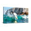 Animals Seabird Diving Into Ocean Waves Near Cliffs-1833174501