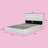 Denicolais Hydraulic Lift Up Upholstered Storage Bed with Wingback Headboard-1547883902-1547883900