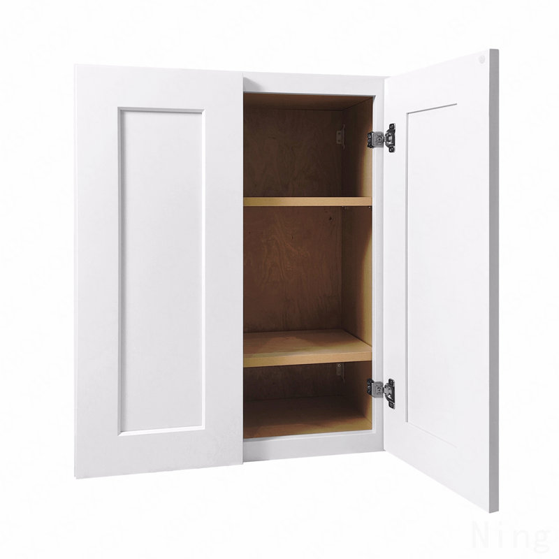 Armoire murale à 2 portes avec 2 tablettes, tablettes réglables pour le rangement de la cuisine / salle de bain / buanderie