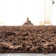 Assar Brown Area Rug