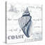 «Indigo Shell IV», impression-31936764-31475282