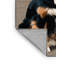  Tapis lavable Beauceron pour chiens-1488887616