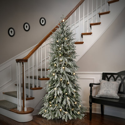 Stennis Christmas Tree