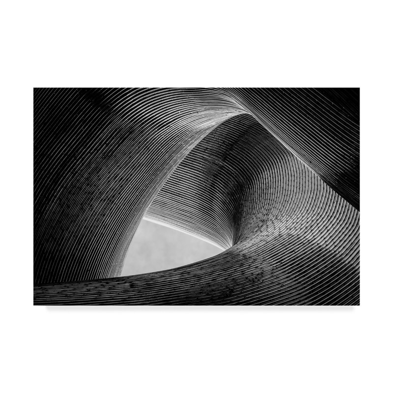 « entrelacés sculpture », reproduction de photo sur toile tendue, H 12 po x l 19 po x P 2 po
