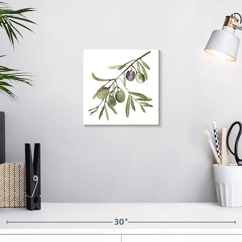 Branche d'olive fraîche Harnek I, H 10 po x l 10 po
