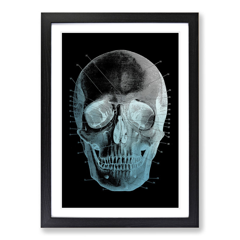 Black Twilight Skull - Picture Frame Graphic Art, 65cm H x 48cm W x 2cm D, Black