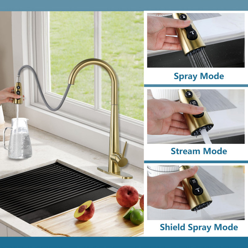 Pull Down Single Handle Kitchen Faucet, Brushed Gold