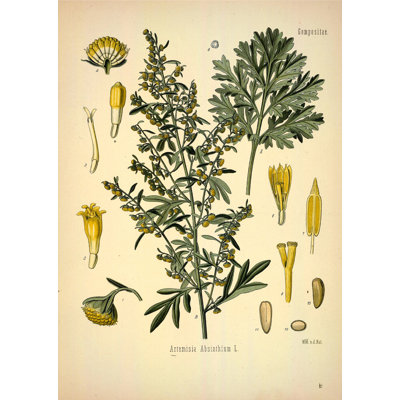 Botanique 44
