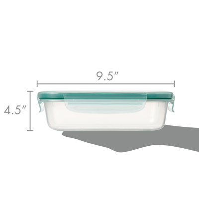 SNAP 41 Oz. Food Storage Container